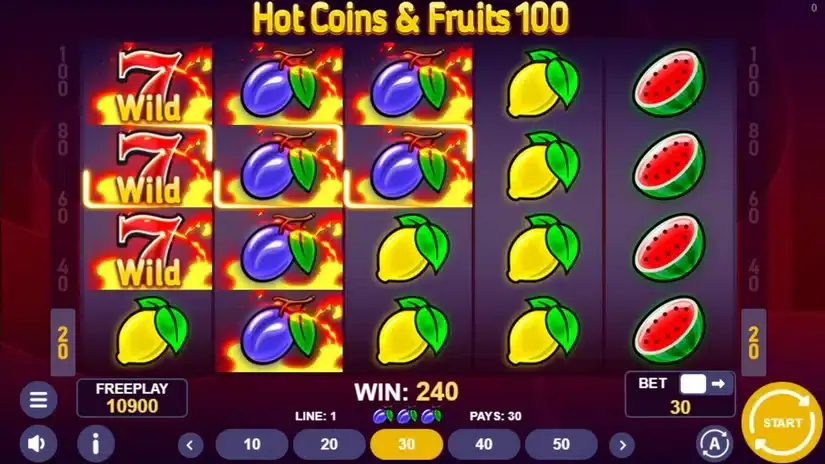 Hot Coins & Fruits 100 slot screenshot 3