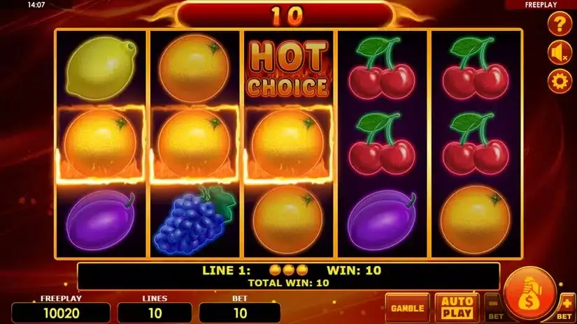 Hot Choice Deluxe slot screenshot 4
