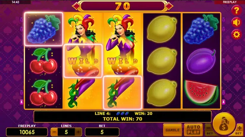 Lucky Joker 5 slot screenshot 3