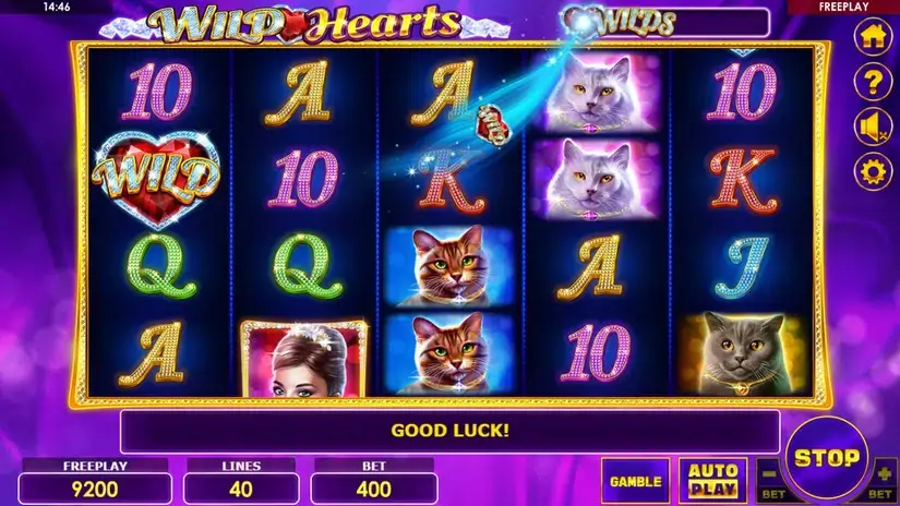 Wild Hearts slot screenshot 2