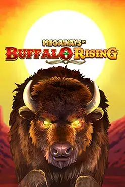 Buffalo Rising