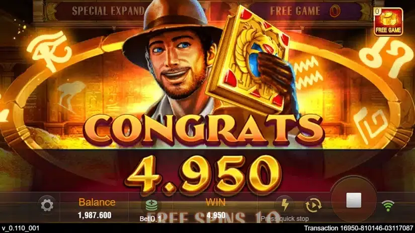 Book of Gold slot screenshot 6