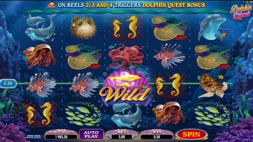 Dolphin Quest slot screenshot 2