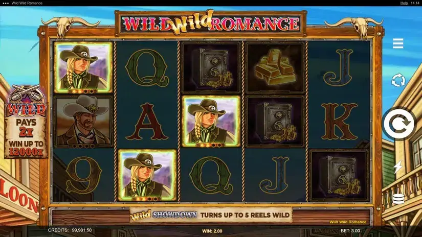 Wild Wild Romance slot screenshot 3