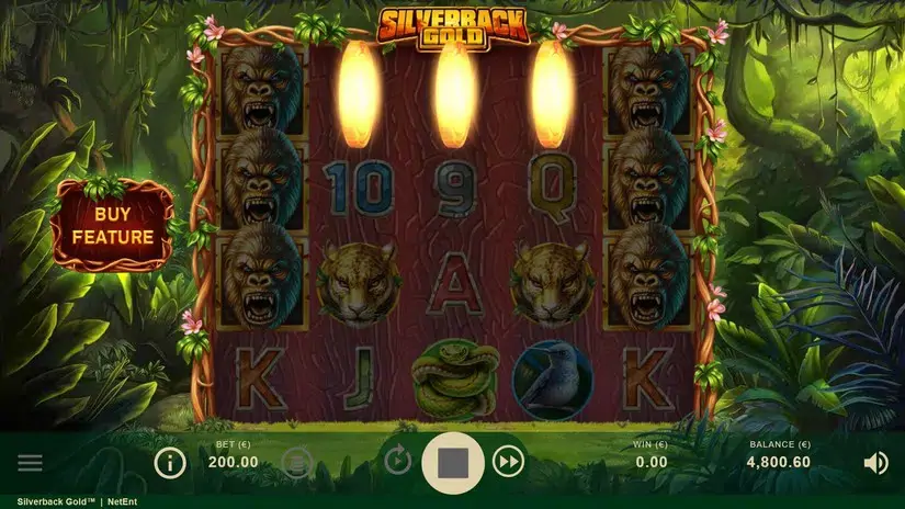 Silverback Gold slot screenshot 4