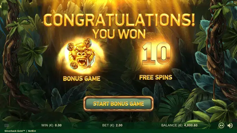 Silverback Gold slot screenshot 5