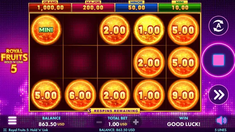 Royal Fruits 5 slot screenshot 4