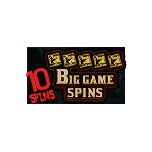 Bonus Buy Big Game Spins