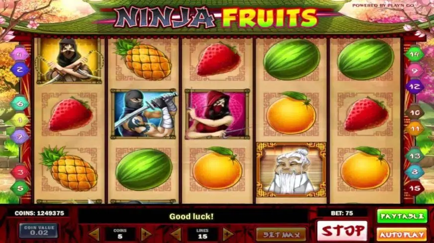 Ninja Fruits slot screenshot 3