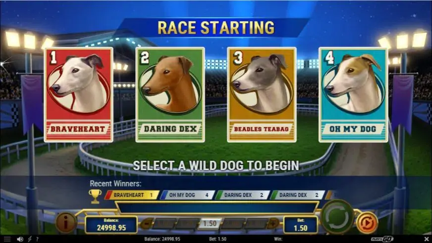 Wildhound Derby slot screenshot 3