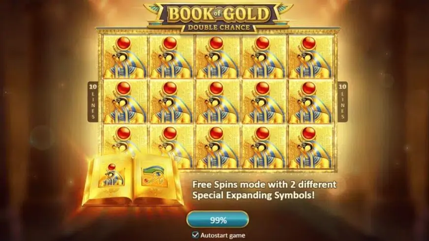 Book of Gold: Double Chance slot screenshot 4