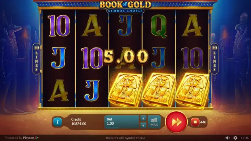 Book of Gold: Symbol Choice slot screenshot 2