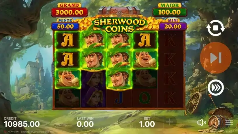 Sherwood Coins: Hold and Win slot screenshot 4