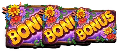 Bonus Buy 7 Free Spins