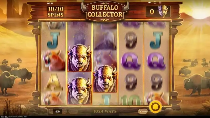 Buffalo Collector slot screenshot 3