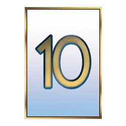 icon 10