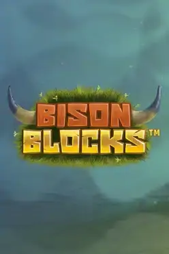 Bison Blocks
