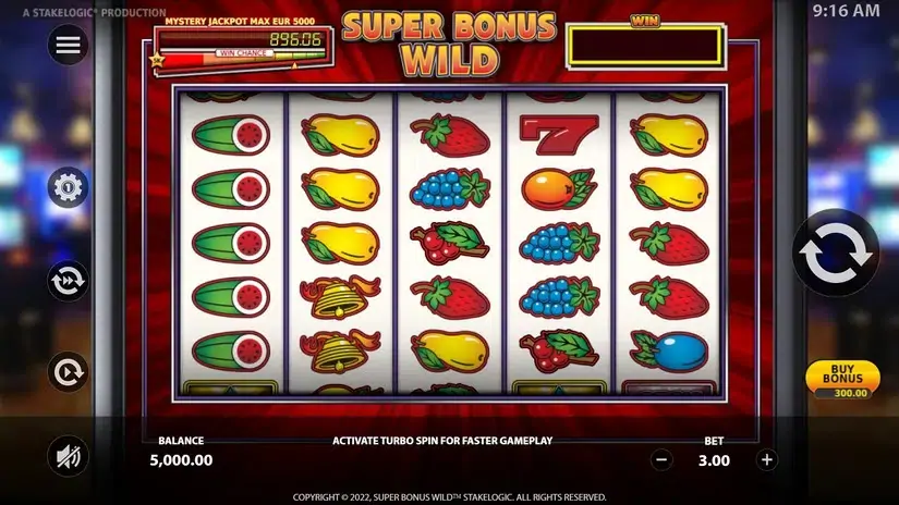 Super Bonus Wild slot screenshot 