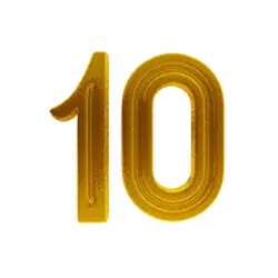 icon 10