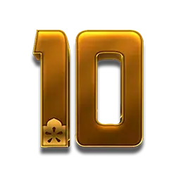 icon 10