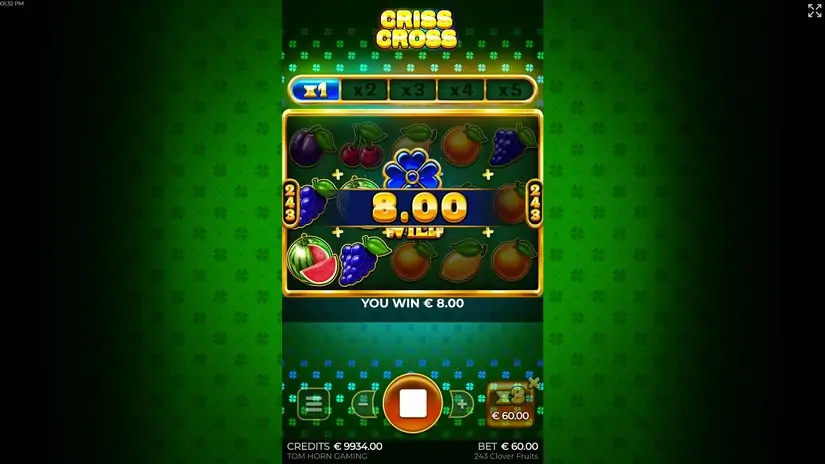 243 Clover Fruits slot screenshot 2