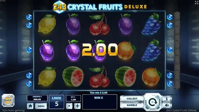 243 Crystal Fruits Deluxe slot screenshot 4
